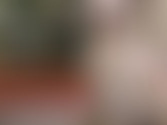 Indiana Scentwork Fun