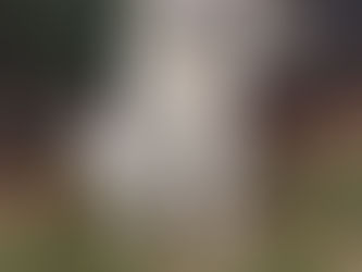 Kimber' s First CD leg