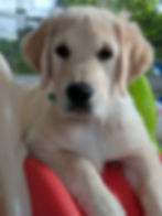 Baby Denver