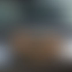 Waffles on a Corona Morning