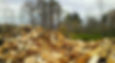 Firewood