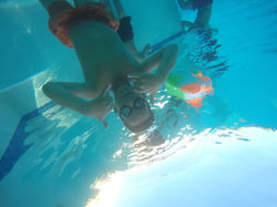 Picasa - G0276914.jpg