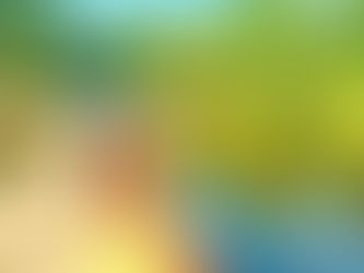 Leading in french: a first-time experience that made a difference