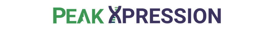 peak xpression logo