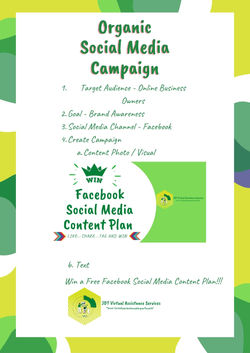 Organic Social Media Campaign.jpg