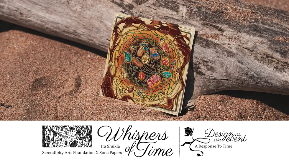 saf cal portfolio-01.webp