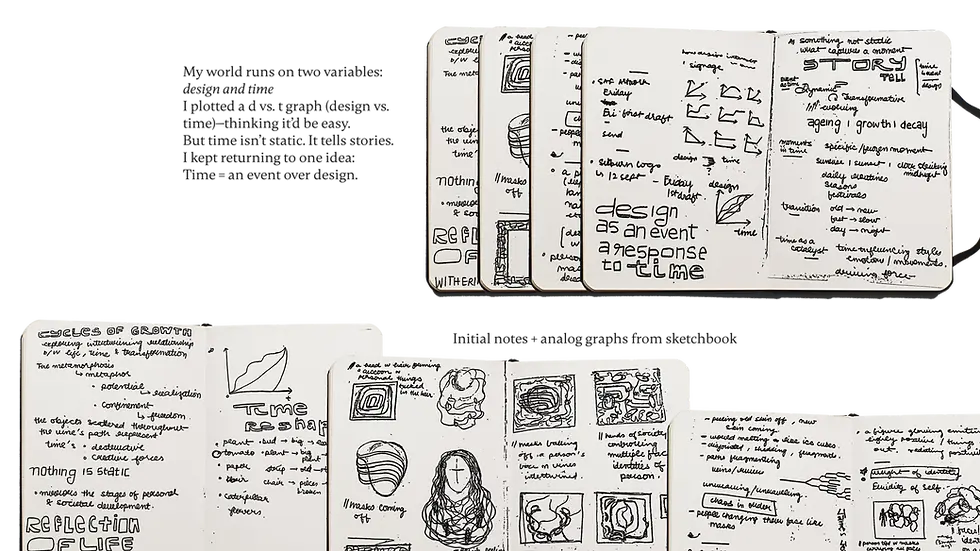 saf cal portfolio-04.webp