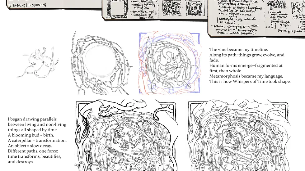 saf cal portfolio-05.webp