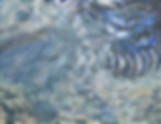 ThunderWeb800px