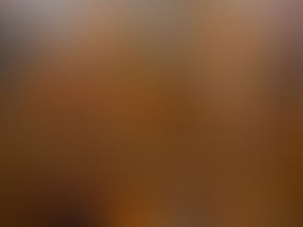 Causa Maior alarga a sua atividade a Timor-Leste