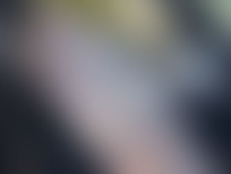 Doação à Santa Casa da Misericórdia de Palmela