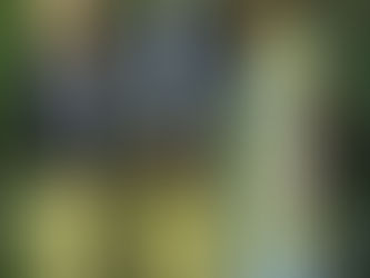 Reunião com a Diretora Geral de Inclusão Social de Cabo Verde