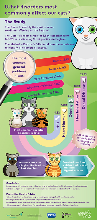 Common disorders that may affect your cat