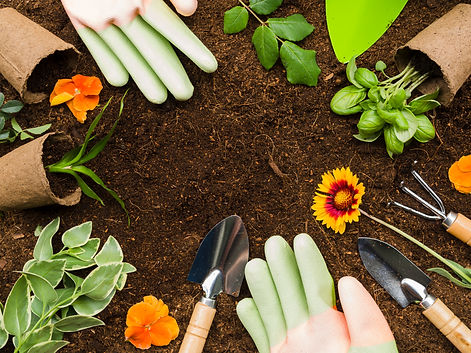 top-view-gardening-tools-plants.jpg