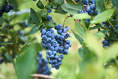 AdobeStock_165470608.jpeg