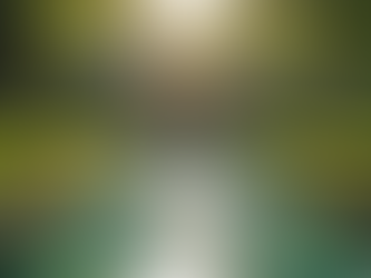 Creating a Calm and Focused Mindset for Wellness