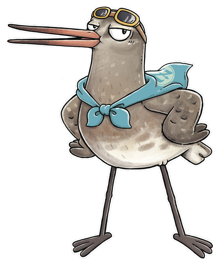 Maullin-01-web-700px.png