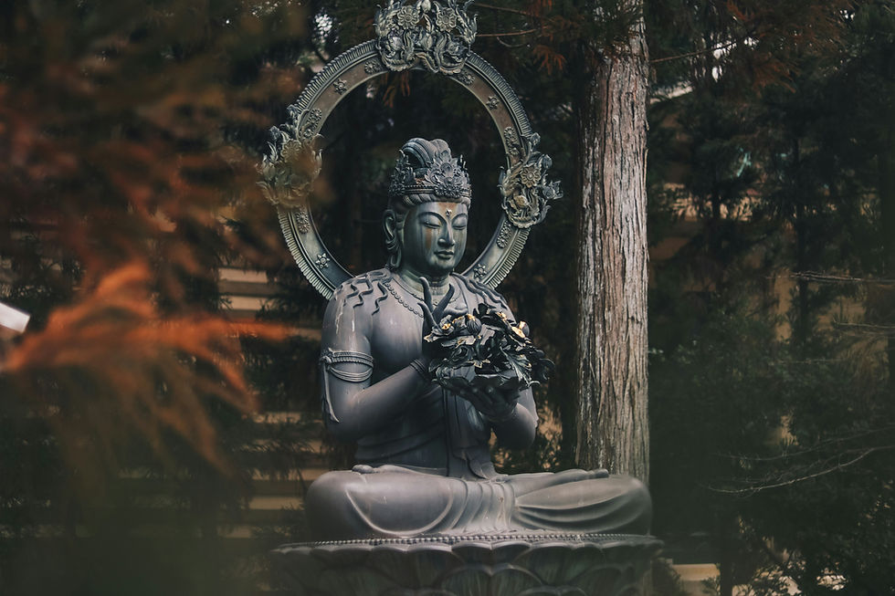 Satsang with Anderson Charles