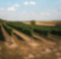 pic-05_edited.jpg