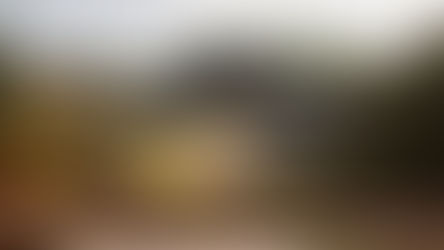 Road Atlanta, October 8-11th