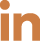 LI Icon Orange.png