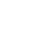 LI Icon White.png