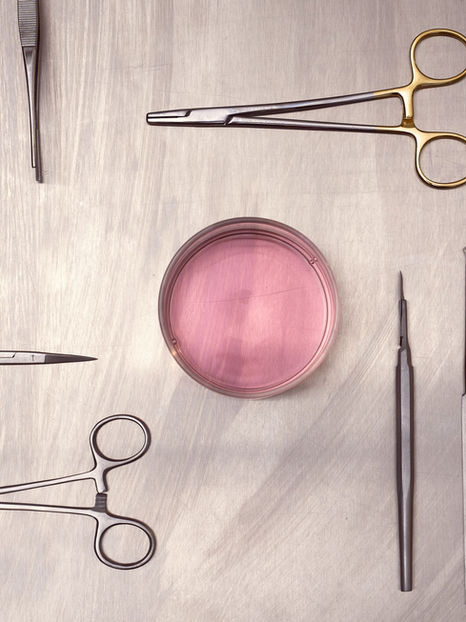 Surgical tools and petri dish with pink liquid on a tray