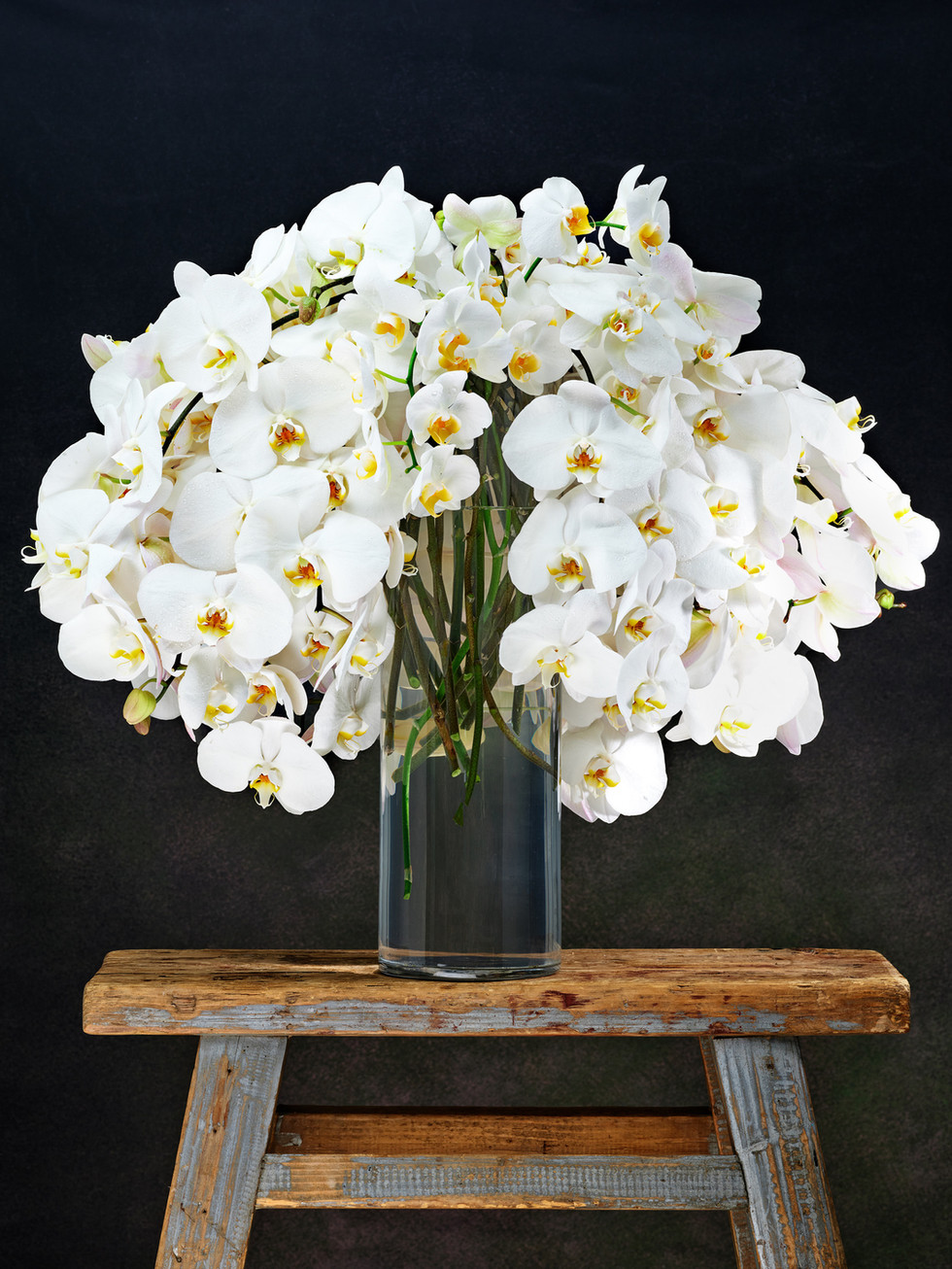 orchid flowers near me, wedding bouquets with orchids and roses, roses and orchid bouquet, orchid bouquets, elegant orchids