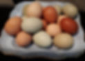 eggs.jpg