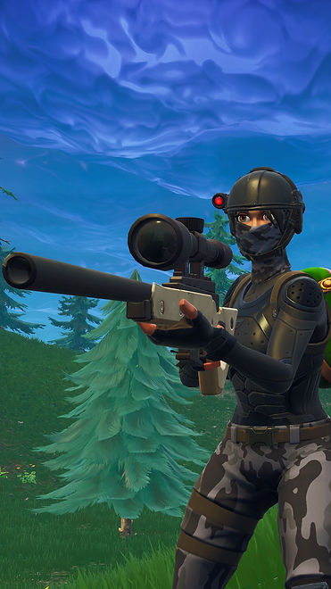 snipe.jpg