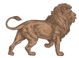 Screenshot 2026-01-14 at 11_edited_edited_edited.png