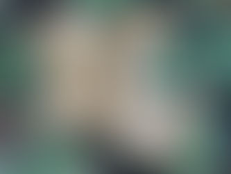 Lotion bar for autumn