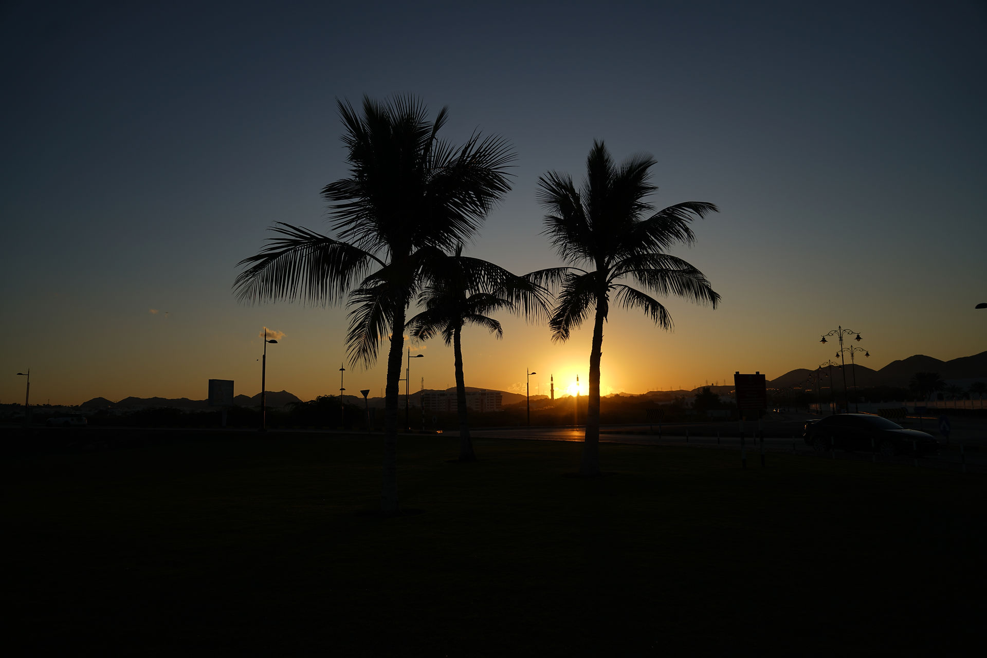 Sunrise Muscat