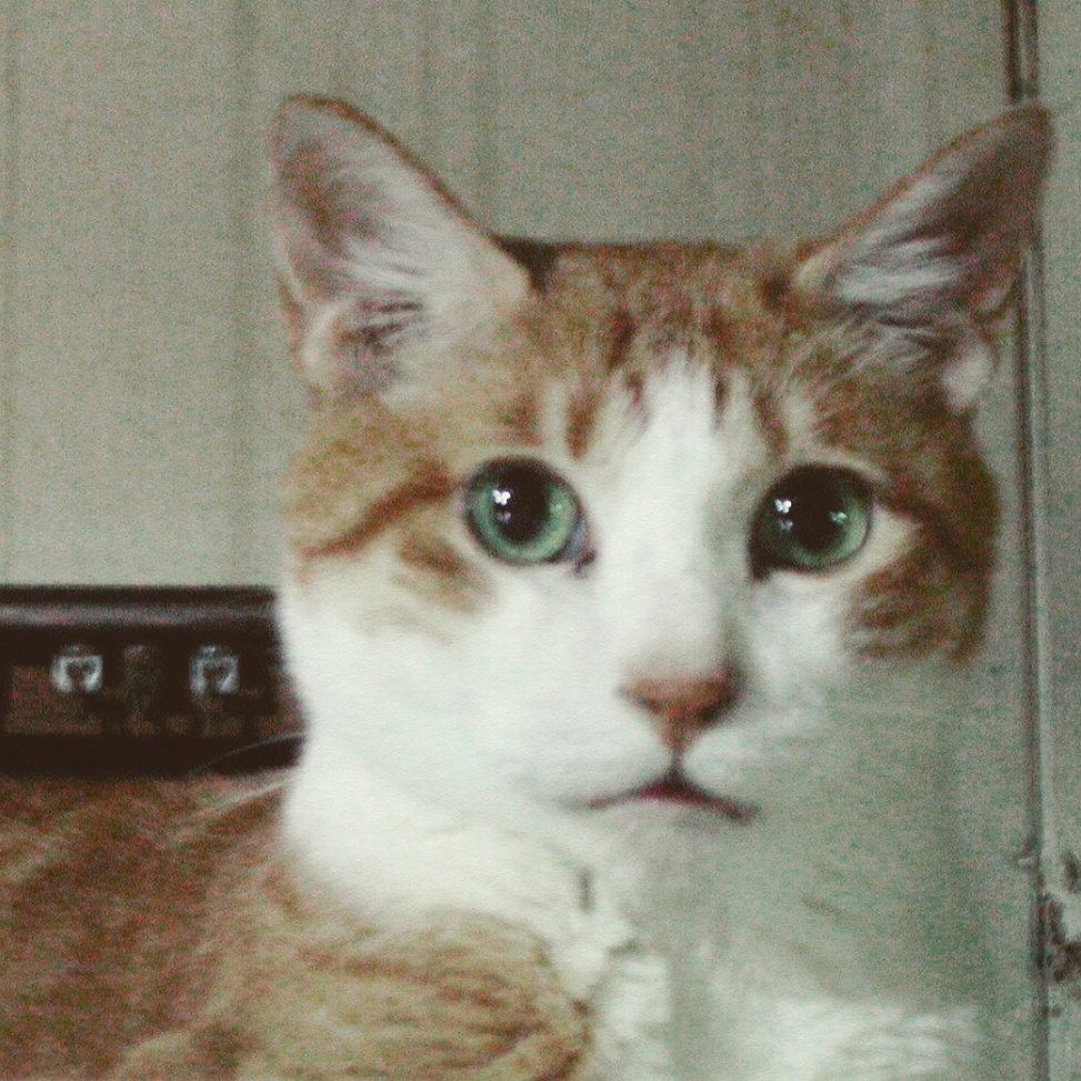 執筆者の写真: bucico0138