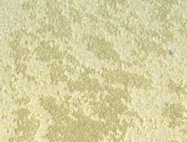 Screenshot 2024-11-21 133446.jpg