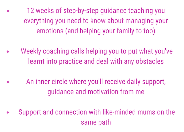 Programme-cost-graphic (1).png