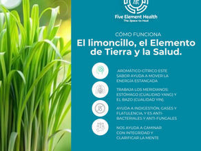 Lemongrass, the Earth Element, and Your Health