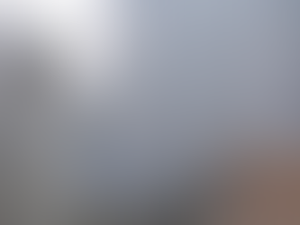 Damp, Mould & Condensation