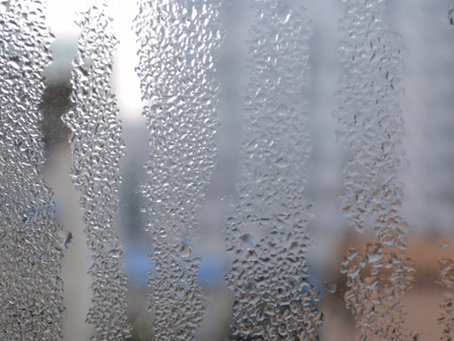 Damp, Mould & Condensation