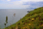 Howth Head Walk