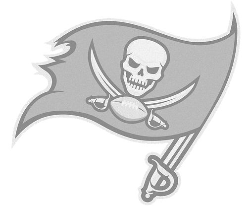 tampa-bay-buccaneers-logo-transparent_edited.png