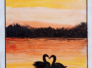Swan Love