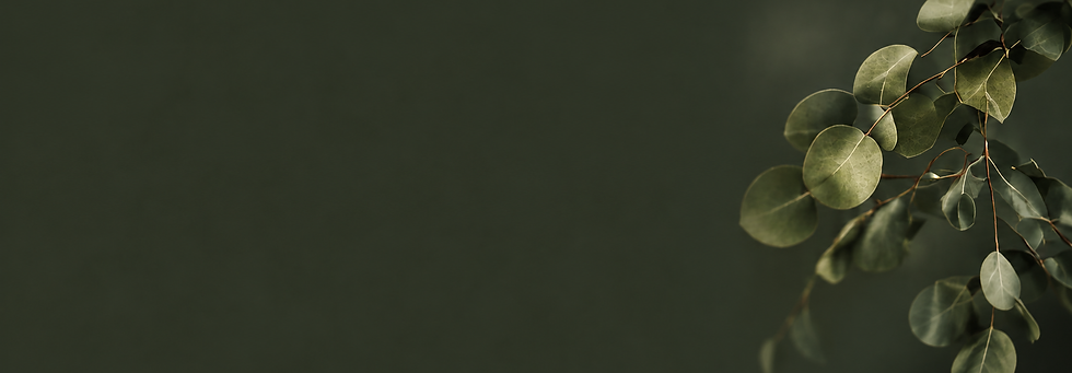 ChatGPT Image Aug 29, 2026, 10_00_55 AM.png