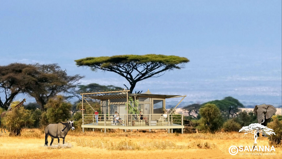Savanna Camelthorn Guest Suite