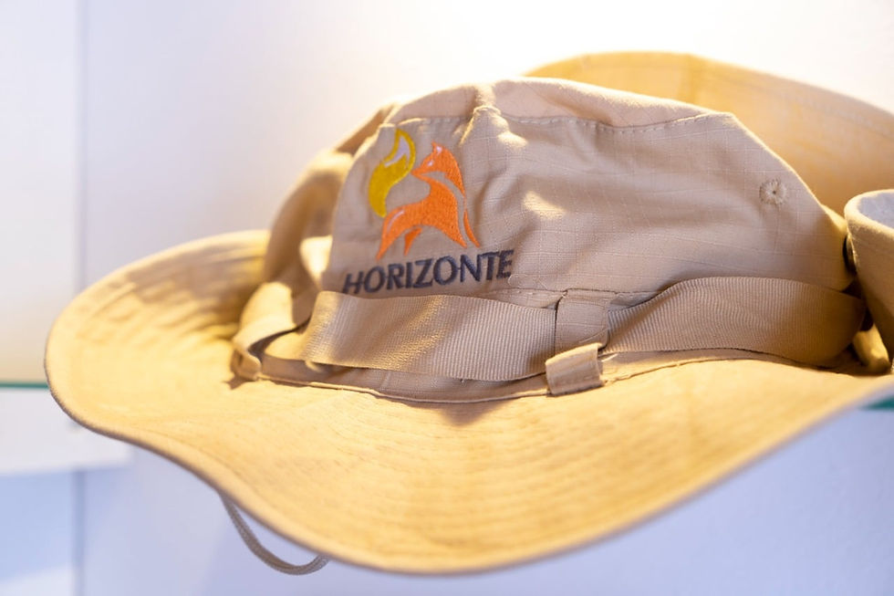 contacto3-horizonte