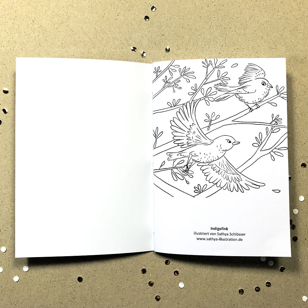 Miniaturbild: Sathyas Vogel-Malbuch