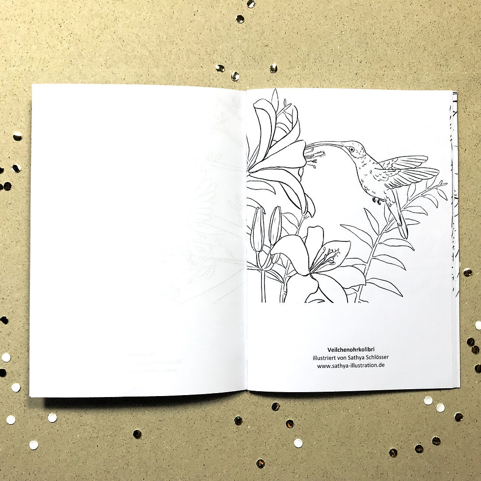 Miniaturbild: Sathyas Vogel-Malbuch