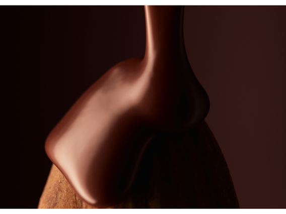 Case Study Delicious Chocolate