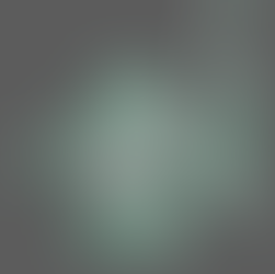 Tiki seal Rendering process