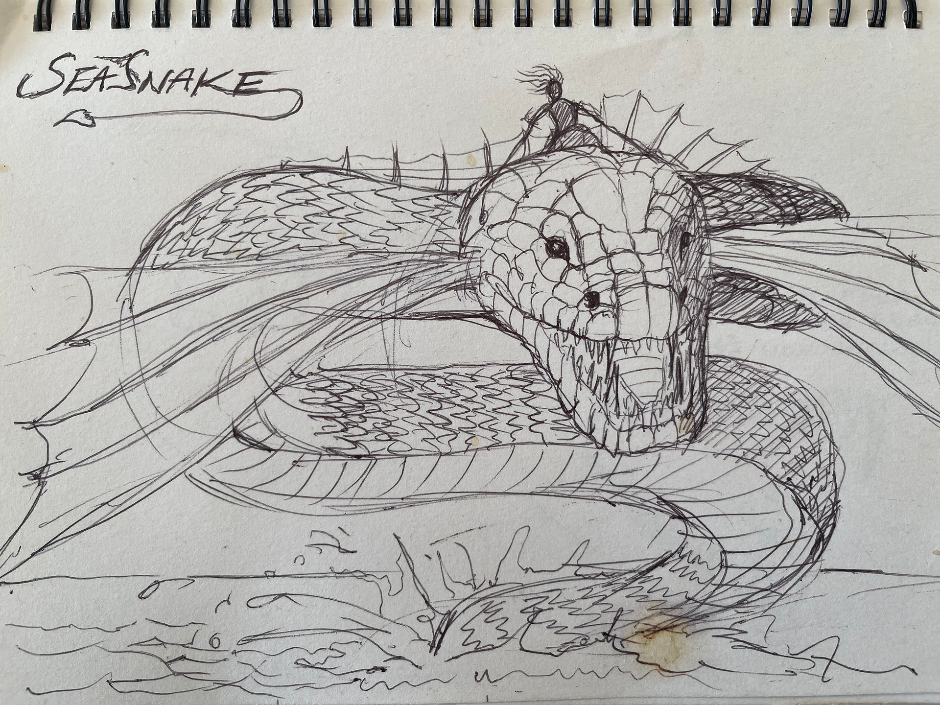 Snake Sketch